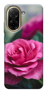 Чохол Троянда у саду для Xiaomi Redmi A5 (Europe version)