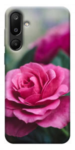 Чехол Роза в саду для Galaxy M16 5G