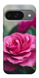 Чохол Троянда у саду для Google Pixel 10 Pro