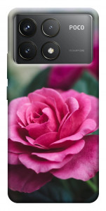 Чехол Роза в саду для Xiaomi Poco F6 Pro