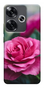 Чехол Роза в саду для Xiaomi Poco F6