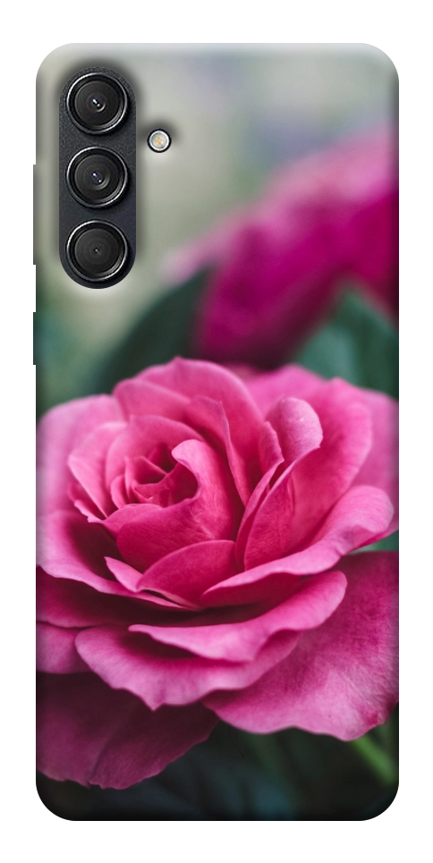 Чехол Роза в саду для Galaxy M55