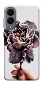 Чохол Гвоздика для Galaxy S25 Edge