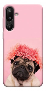 Чехол Мопс с цветами для Galaxy M16 5G