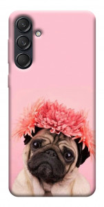 Чехол Мопс с цветами для Galaxy M55