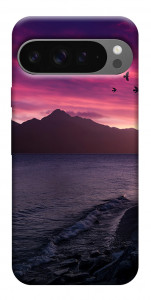 Чохол Захід для Google Pixel 10 Pro XL