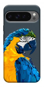 Чохол Папуга для Google Pixel 10 Pro XL