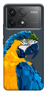 Чохол Папуга для Xiaomi Poco F6 Pro