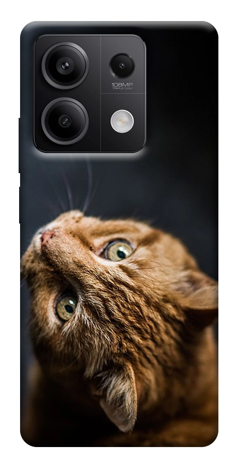 Чохол Рудий кіт для Xiaomi Redmi Note 13 5G