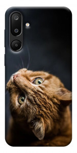 Чехол Рыжий кот для Galaxy M16 5G
