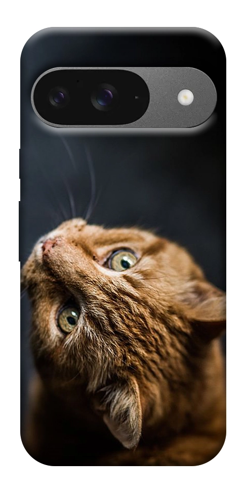 Чехол Рыжий кот для Google Pixel 10 Pro