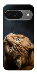Чехол Рыжий кот для Google Pixel 10 Pro
