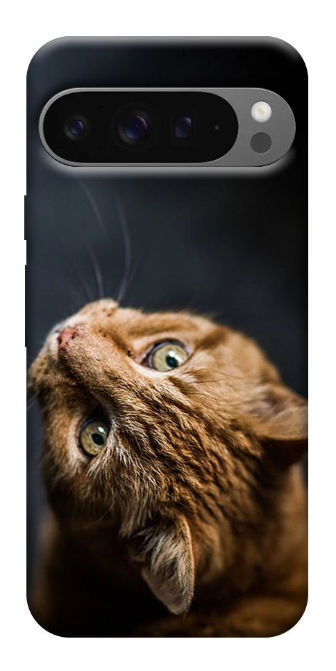 Чохол Рудий кіт для Google Pixel 10 Pro XL