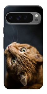 Чохол Рудий кіт для Google Pixel 10 Pro XL