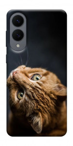 Чехол Рыжий кот для Galaxy S25 Edge