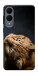 Чохол Рудий кіт для Galaxy S25 Edge