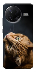 Чохол Рудий кіт для Xiaomi Poco F7 Pro