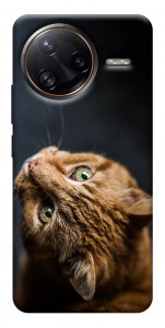 Чехол Рыжий кот для Xiaomi Poco F7 Ultra