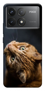 Чохол Рудий кіт для Xiaomi Poco F6 Pro