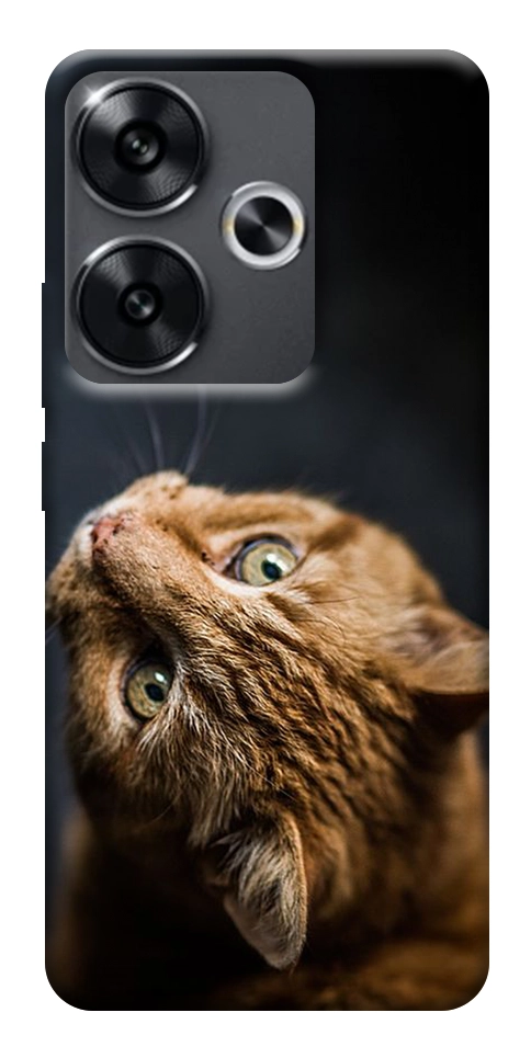 Чехол Рыжий кот для Xiaomi Poco F6