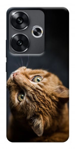 Чехол Рыжий кот для Xiaomi Poco F6