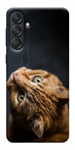 Чехол Рыжий кот для Galaxy M55