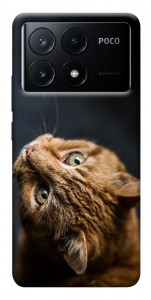 Чохол Рудий кіт для Xiaomi Poco X6 Pro