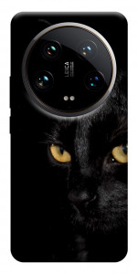 Чехол Черный кот для Xiaomi 14 Ultra