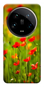 Чохол Макове поле для Xiaomi 14 Ultra
