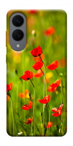 Чехол Маковое поле для Galaxy S25 Edge