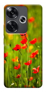 Чехол Маковое поле для Xiaomi Poco F6