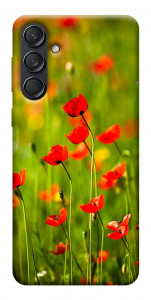 Чехол Маковое поле для Galaxy M55