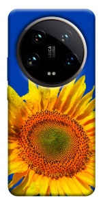 Чохол Sunflower для Xiaomi 14 Ultra