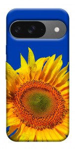 Чехол Sunflower для Google Pixel 10 Pro