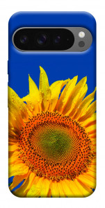Чохол Sunflower для Google Pixel 10 Pro XL