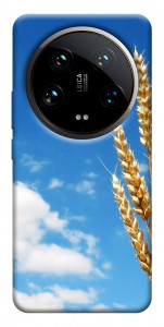 Чохол Пшениця для Xiaomi 14 Ultra