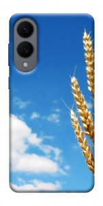 Чехол Пшеница для Galaxy S25 Edge