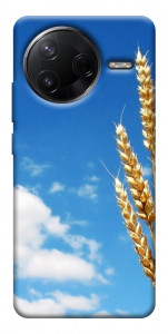 Чохол Пшениця для Xiaomi Poco F7 Pro