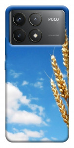 Чехол Пшеница для Xiaomi Poco F6 Pro