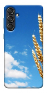 Чехол Пшеница для Galaxy M55