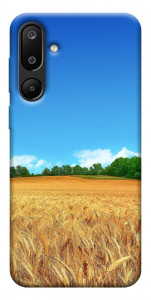 Чехол Пшеничное поле для Galaxy M16 5G