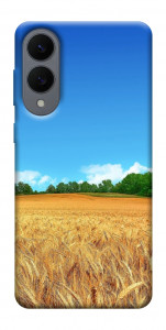 Чехол Пшеничное поле для Galaxy S25 Edge