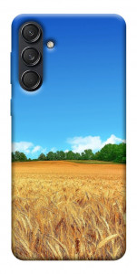 Чехол Пшеничное поле для Galaxy M55