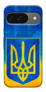 Чехол Символика Украины для Google Pixel 10 Pro