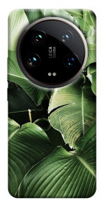 Чохол Тропічние листя для Xiaomi 14 Ultra