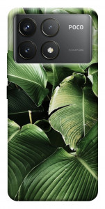 Чехол Тропическая листва для Xiaomi Poco F6 Pro