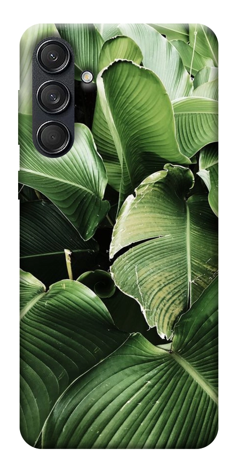 Чехол Тропическая листва для Galaxy M55