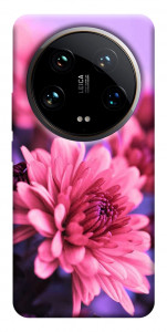 Чохол Ніжна хризантема для Xiaomi 14 Ultra