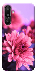 Чехол Нежная хризантема для Galaxy M16 5G