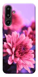 Чехол Нежная хризантема для Galaxy F16 5G